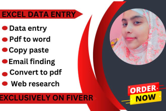 do excel data entry copy paste convert pdf to excel and web research