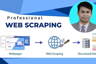 do web scraping, website data entry, excel, and web research