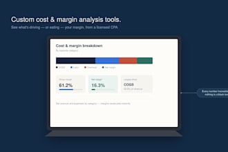 build a custom margin, cost, or cash flow analysis tool, CPA built