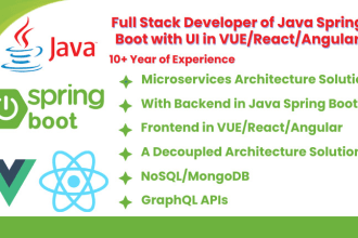 develop full stack apps of java spring boot with UI in vue, react or angular