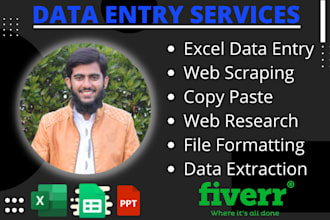do data entry in low price for you