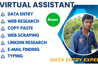 do fast any excel marvellous data entry,web scraping,virtual assistant need