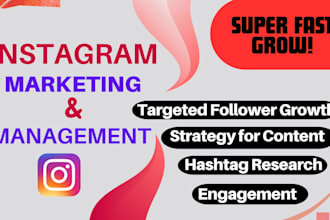 instagram management, content manager and instagram promotion