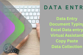 excel data entry, legal draft, legal contract drafting