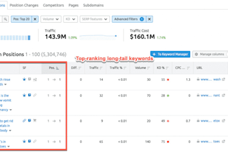 optimize website onpage technical SEO service