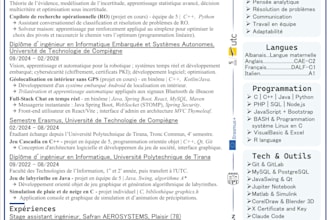 design a clean CV for you