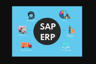 provide remote support for sap abap and hana development