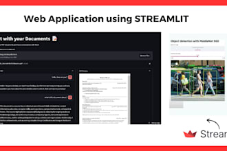 build python based streamlit web application