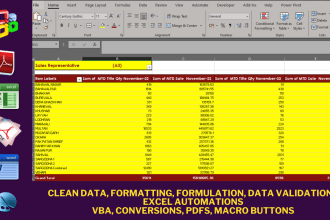 excel data cleaning,formatting,data sorting,excel formula insert,data validation