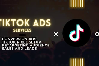 setup and manage tiktok ads campaigns, tiktok advertising