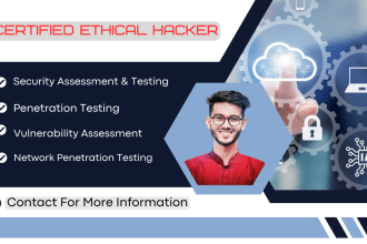 do pentest and vulnerability assessment on your website