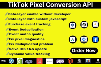 setup tiktok pixel events api tiktok serverside conversion API in 2 hours