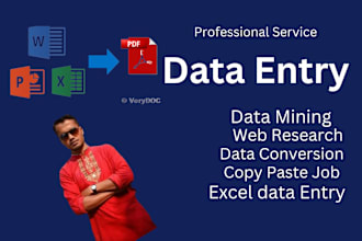 do professional data entry copy paste and  web research job