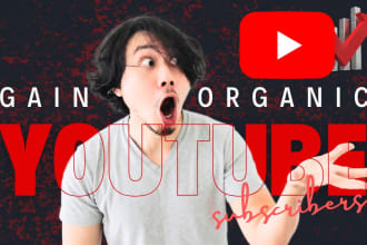 promote your youtube to target audience organic  views subscribers