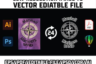 vector tracing, logo tracing, icon tracing