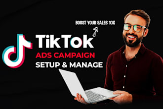 tiktok ads campaign setup tiktok ads management tiktok ads campaign optimization