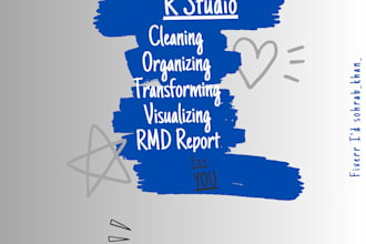 provide r programming, gis analysis, and satscan services