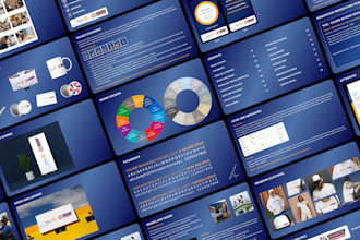 design a brand identity kit or style guide with your story, voice, tone, logo