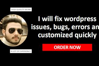 fix wordpress bugs quickly and customize with css and html