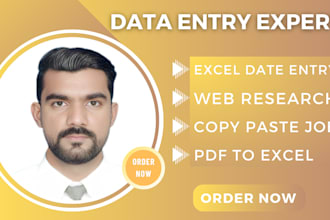 do data entry, copy paste, excel data cleaning formatting
