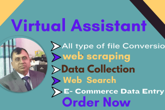 do accurate  web search company data search ecommerce