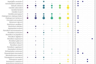 be your data analyst for precise surveys and research
