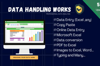 do typing , data entry , word , excel works and more