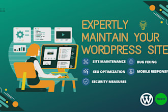 expertly maintain your wordpress site
