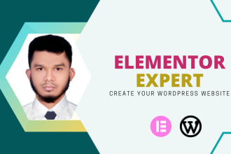 create wordpress website as an elementor pro expert