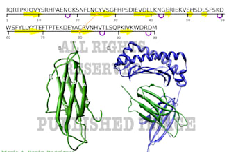 perform biopolymer, protein, adn, sugar, lipid simulations with expertise
