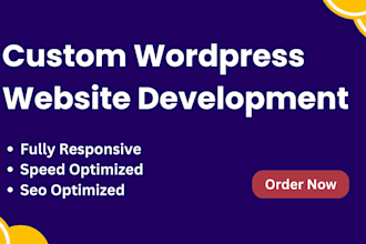 do professional wordpress website development,  custom wp sites