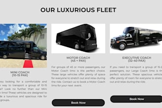 design party bus rental, limo service, automotive website