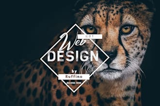 creador de landing page