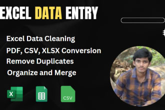 clean, organize, merge and format excel and CSV data ms excel expert