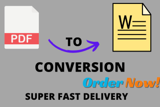 convert pdf to word, pdf to excel, ms word formatting and translation