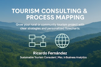 consult and create process flow diagrams for tourism projects