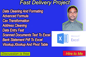 excel expert and data clean and data entry