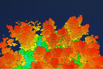 process lidar point cloud for forestry applications