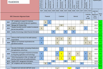 conduct cobit 2019 maturity assessment