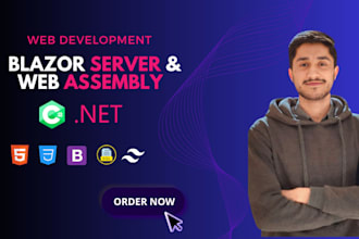 build asp net mvc , asp net core web api blazor and angular