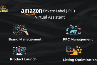 boost your sales amazon ad campaign, PPC specialist, fba consultant