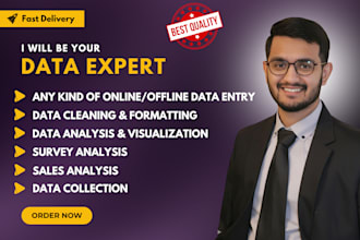 do data entry, data cleaning, data analysis, and data visualization in excel