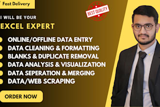 do data entry, data cleaning, data analysis, and data visualization in excel