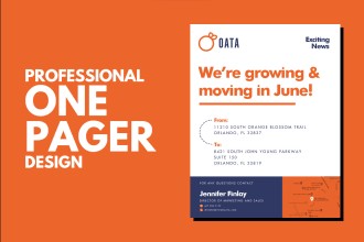 design a professional one pager, flyer, investment teaser or executive summary