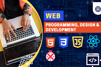 web programmer, build fully responsive website, solve errors
