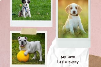 write dog articles and pet blogs