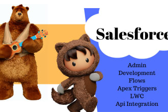 configure salesforce org and help in admin and development