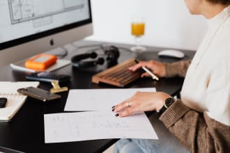 develop internal audit plan and internal audit reports
