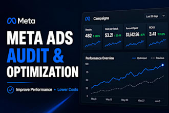 audit and optimize your meta ads campaigns