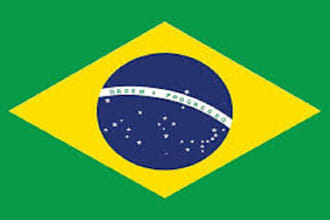 build 300 brazil local SEO citation
